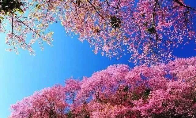 A计划国语版 视频缩略图