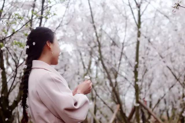 你们所有人的脸 视频缩略图