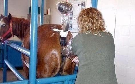 不成问题的问题 视频缩略图