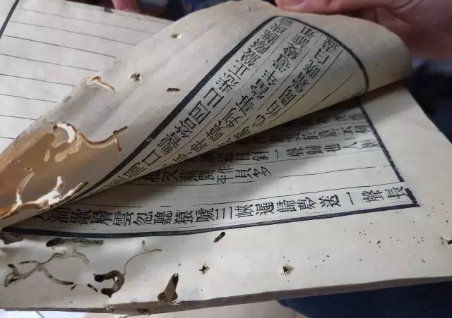 仪式杀手 视频海报