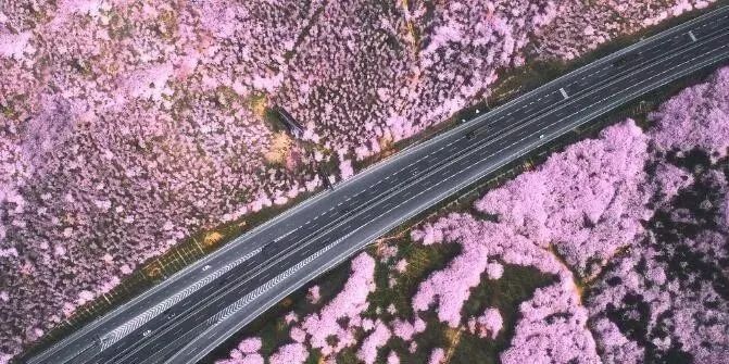 修补生活 视频缩略图