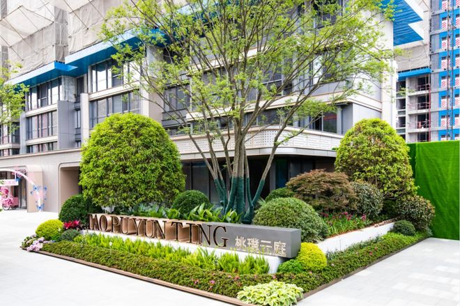 你好，疯子！ 视频海报