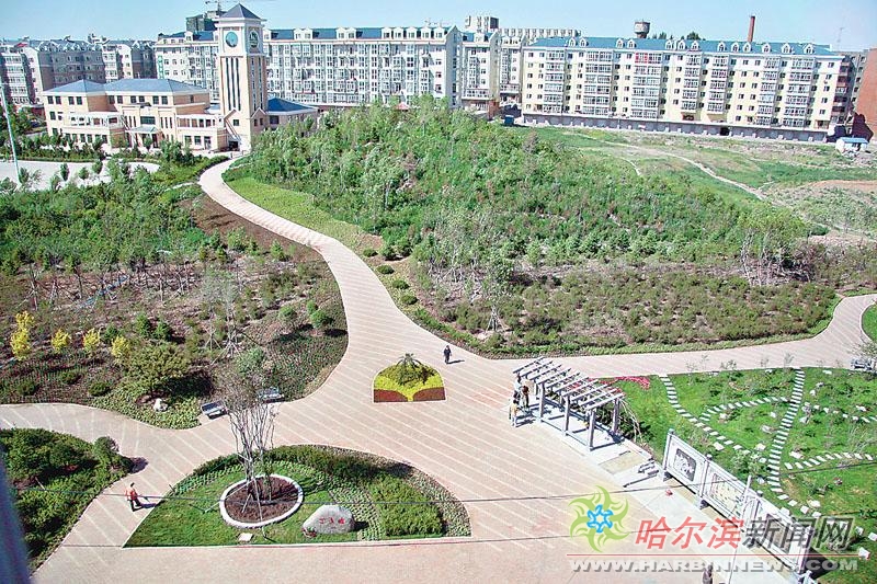 你好倾城 视频缩略图