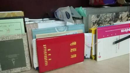 伊娃 视频缩略图