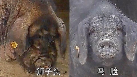 不在远方 视频缩略图