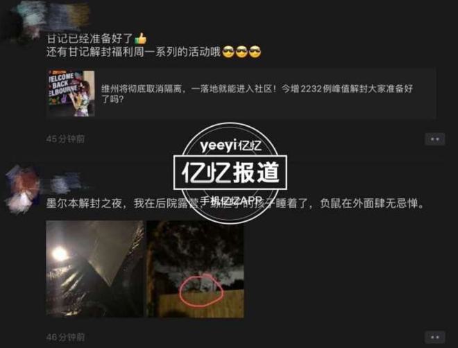 Ludo 视频缩略图