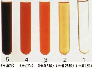 2025： Blood, White & Blue 视频海报