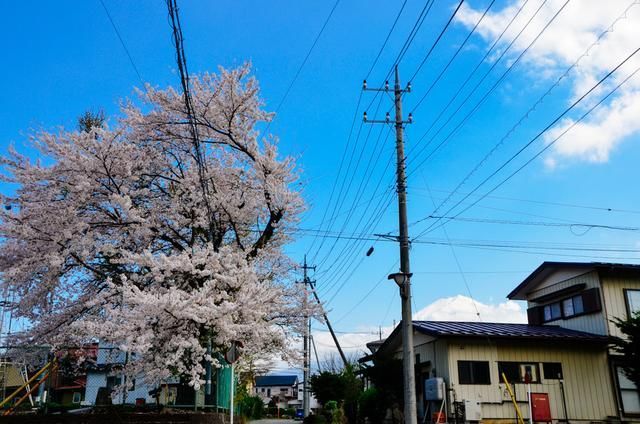 元宵节的结 视频缩略图