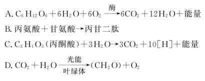 1980 视频缩略图